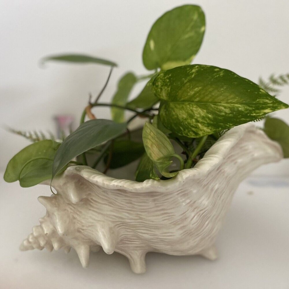 Vintage Ceramic Mold Neutral Nautilus Conch‎ Sea Shell Planter Vase Beach House